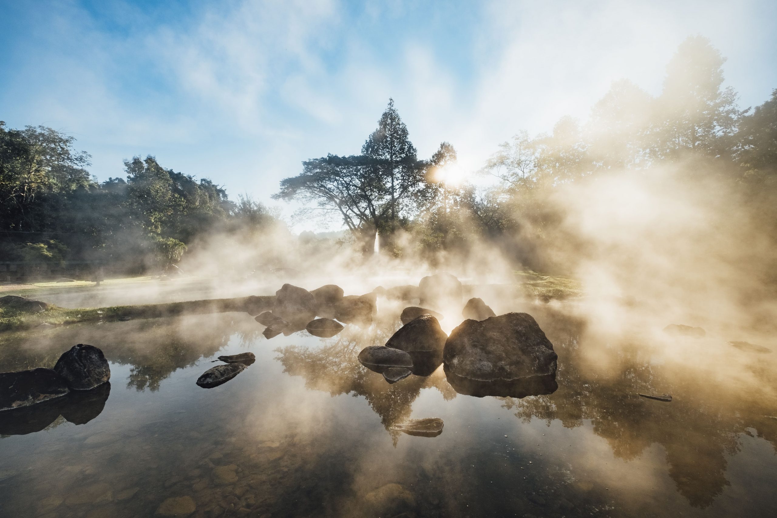 Borneo Nature Foundation: Protecting Borneo’s biodiversity